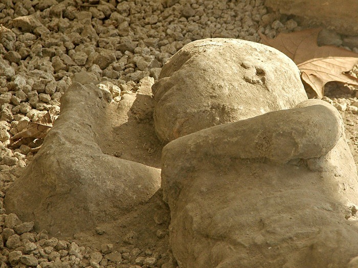 Garden of the Fugitives Fossilized Victims of the Vesuvius Eruption